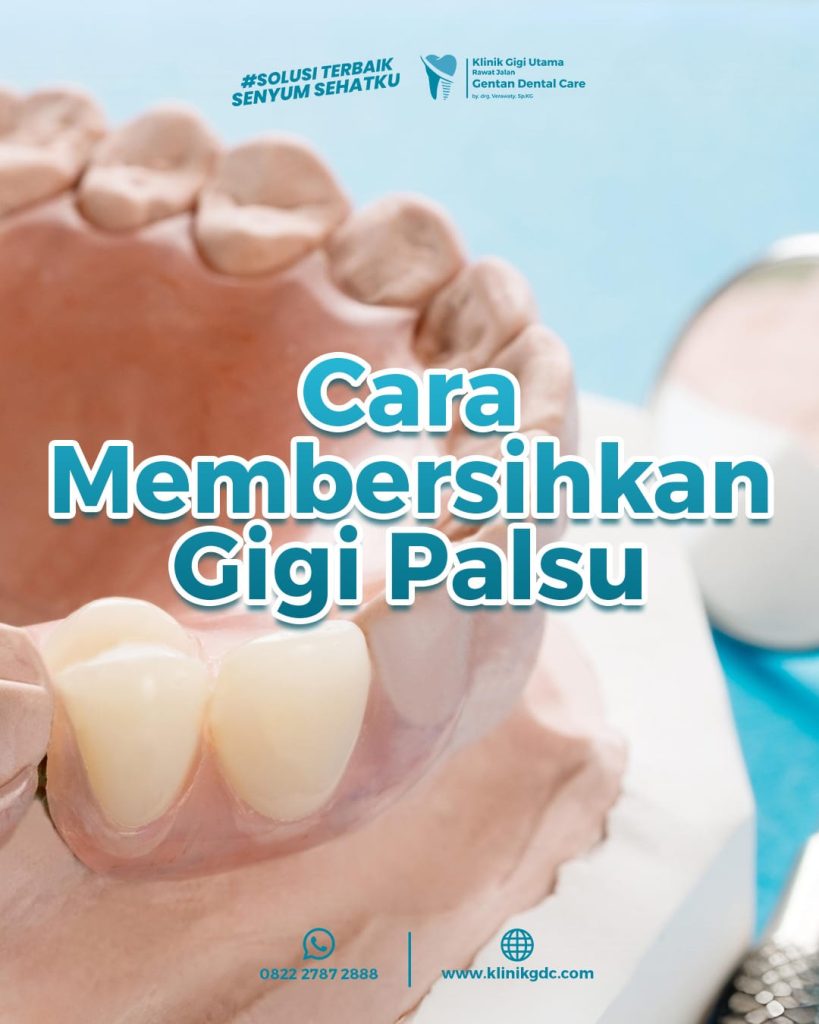 a close up of a model of teeth